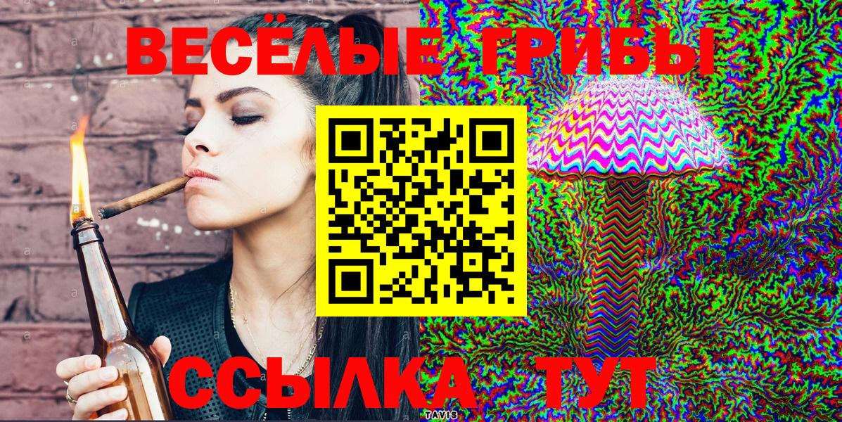 Псилоцибиновые грибы GOLDEN TEACHER  Вход с VPN  Галлюциногенные грибы ЛСД  даркнет сайт  Железногорск 