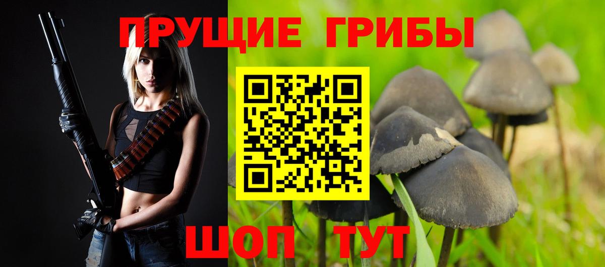 Псилоцибиновые грибы прущие грибы Железногорск